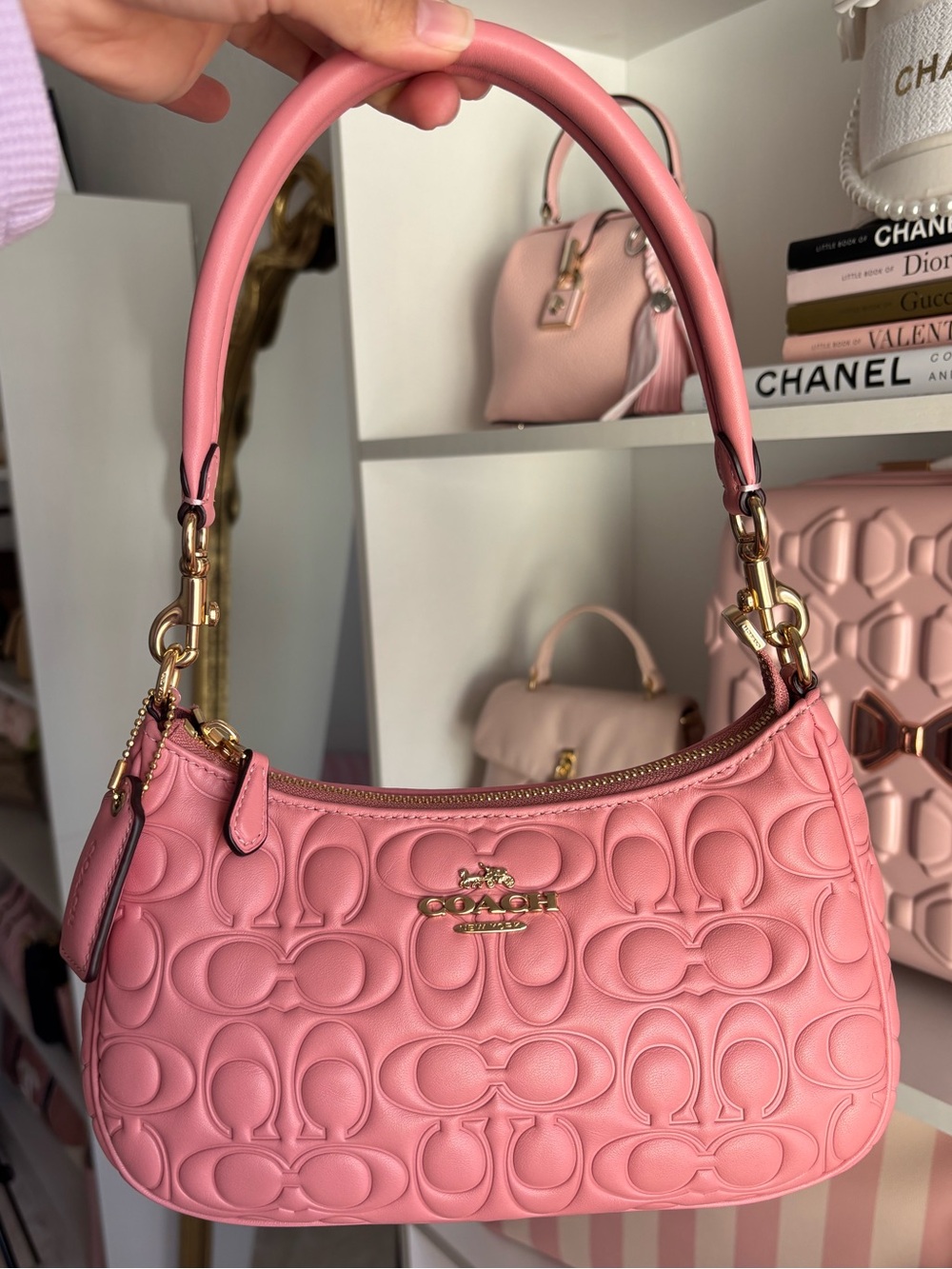 Coach Teri bag